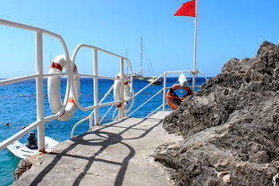 乐鱼中国-海湾者未来青训体系逐渐完善，海湾技术